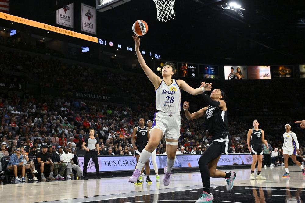 不同形态 不同形态